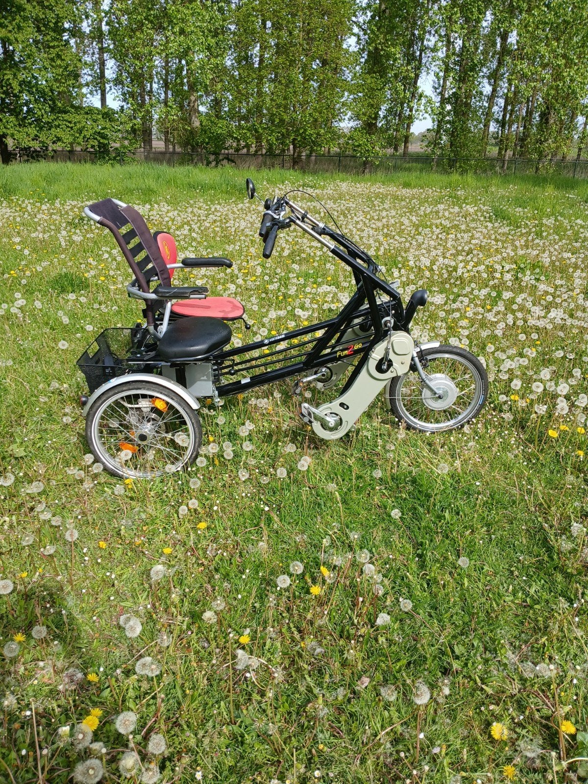 Electrische duofiets, Ophalen of Verzenden, Zo goed als nieuw, Schijfrem, Van Raam